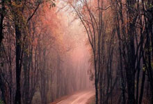 曼联转会最新目标都有谁？球队引援策略藏着哪些门道？