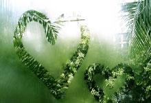 2024 U17亚洲杯预选赛直播在哪看？赛程、参赛队和看点全解析